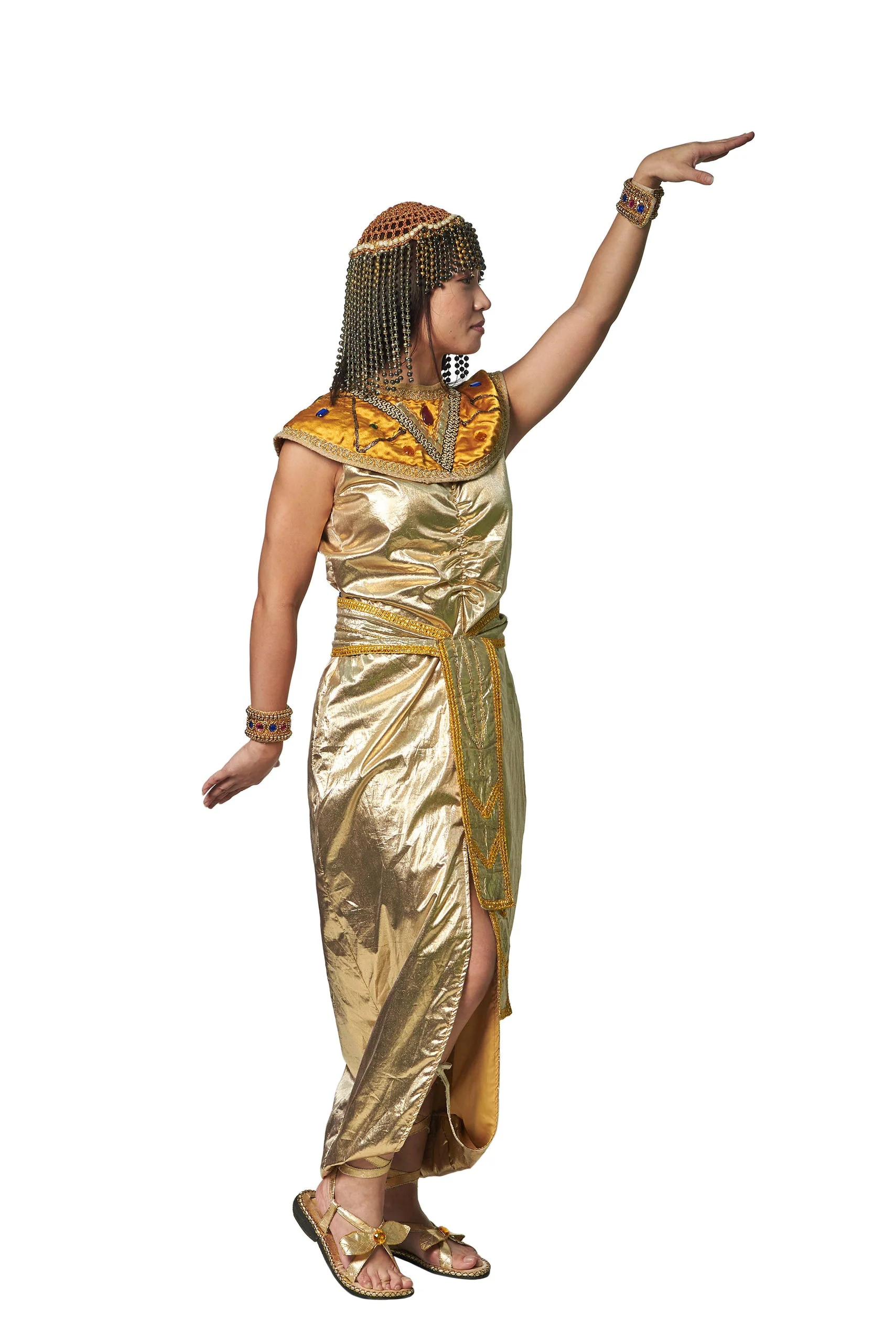 Egyptian W-HIS02