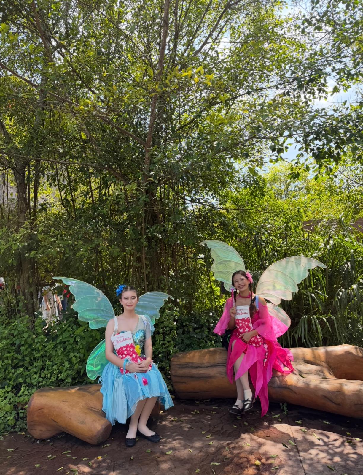 Fairy D09 - Image 2