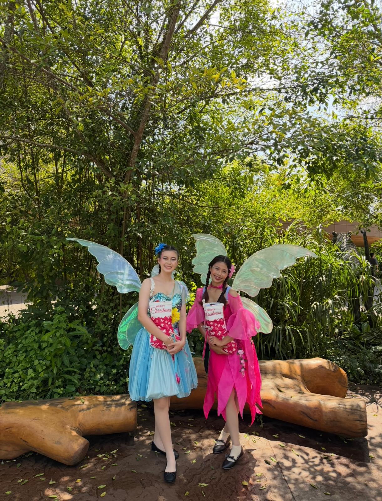 Fairy D09 - Image 3