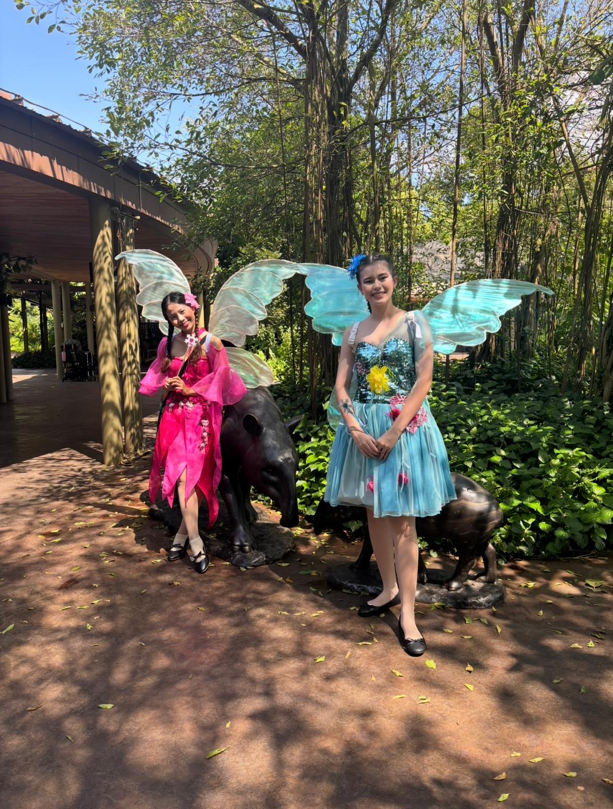 Fairy D09 - Image 4
