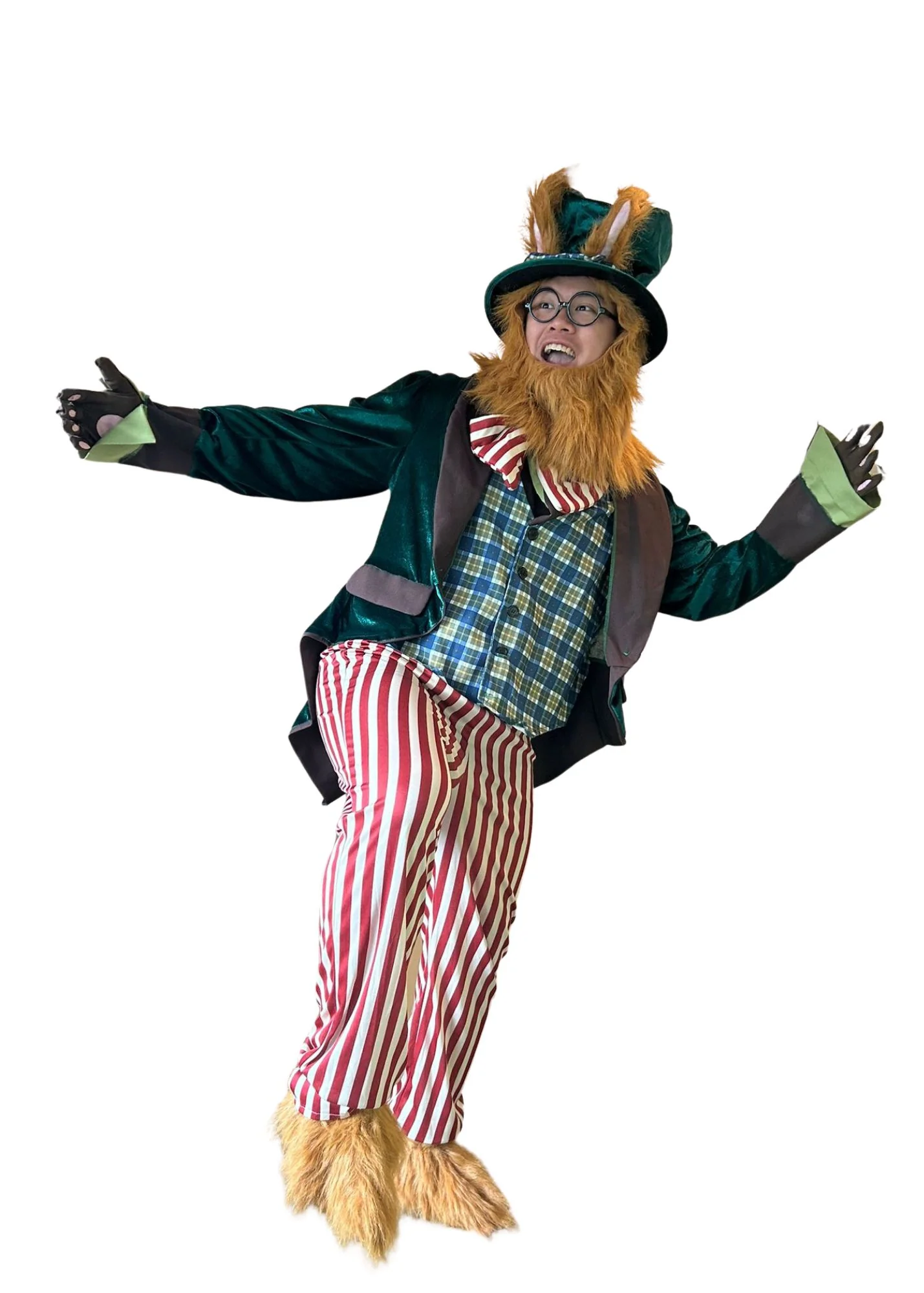 Leprechaun  D01 - Image 2